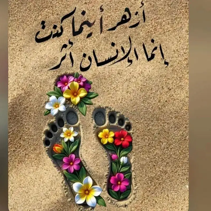 د. اشرف محمد سليمة