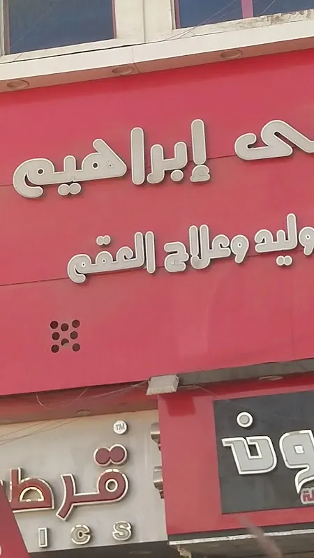 د. السيد عبد الله شلبى