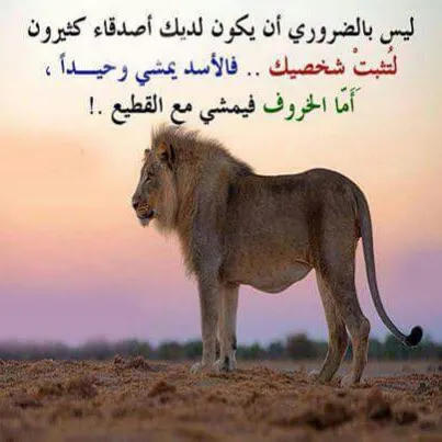 د محمد حمدي رضوان