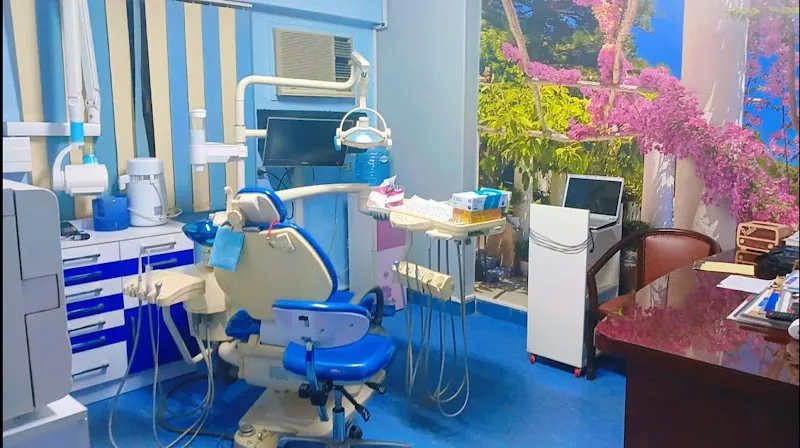 Hollywood Smile د. محمود حسن
