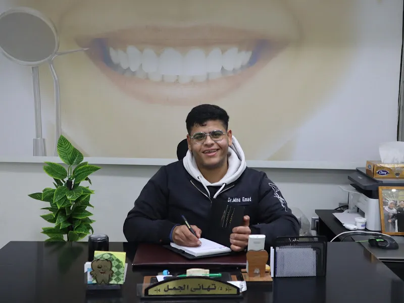 Dr Mina Emad Samir