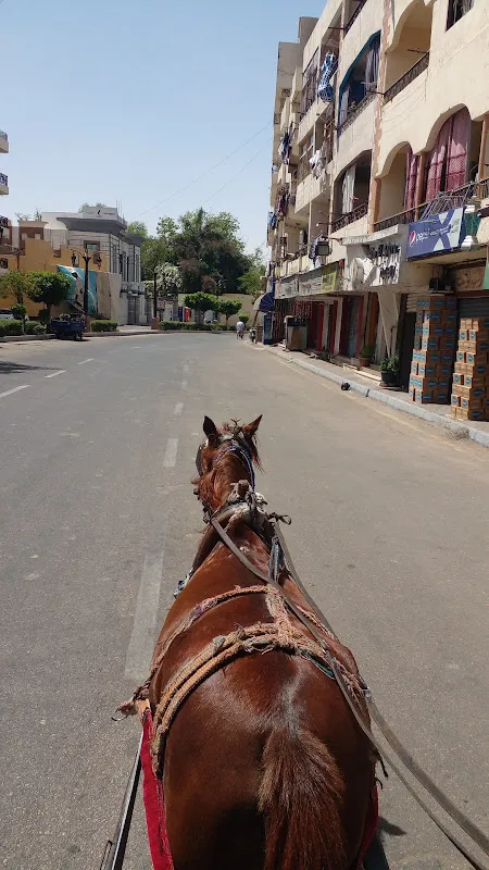الاقصر