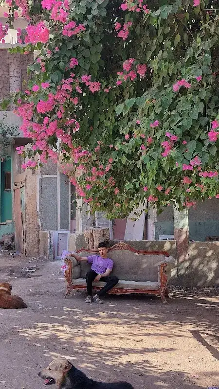 عيادة د/هشام عبد الظاهر