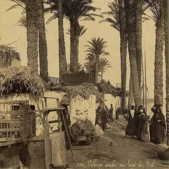 دكتور/ محمد حسن زهرة