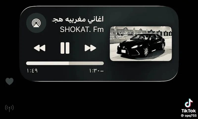 أستاذ دكتور حسين مصطفى خالد