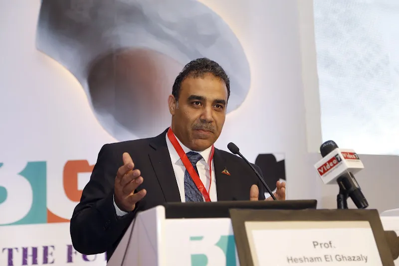 Prof. Hesham El Ghazaly