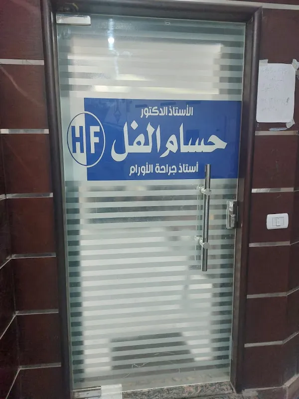 Prof. Hossam El-Fell, PhD