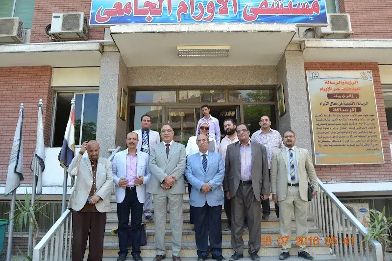 South Egypt Cancer Institute - Assiut University
