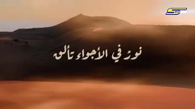 دكتور إبراهيم عبد العزيز ملش