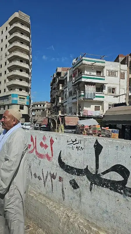 دكتور / على السبكى