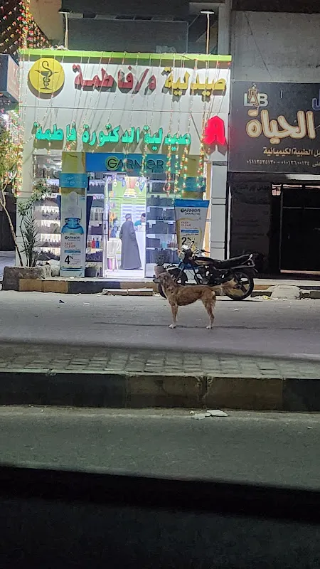 صيدلية الدكتورة فاطمة