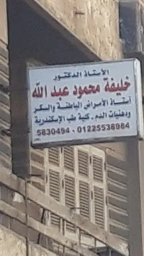 الأستاذ الدكتور خليفة محمود عبد الله
