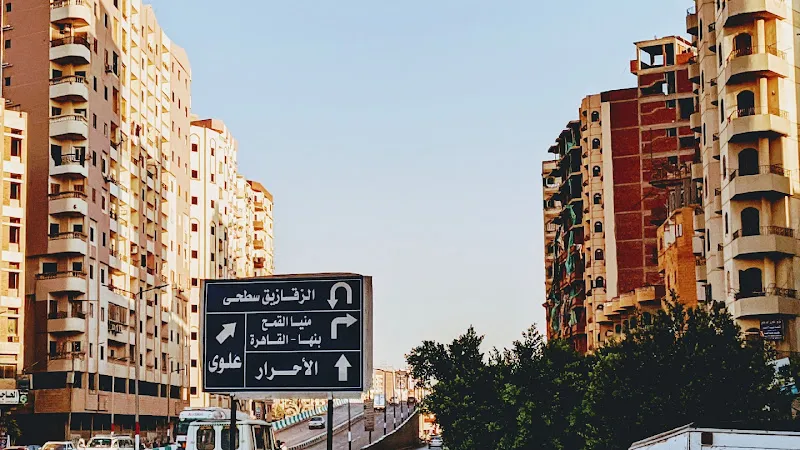 Egyptian French Center for Pediatric Cardiology, Dr. Bashir Abdullah