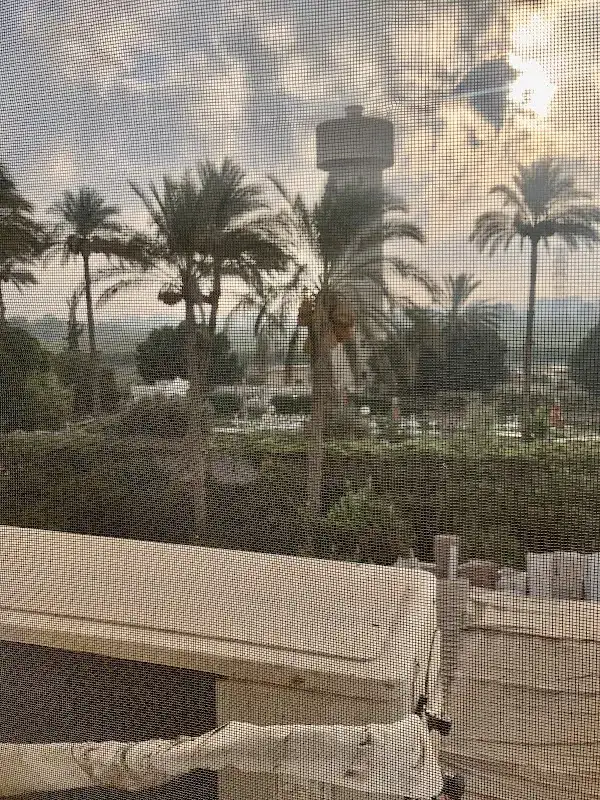 عياده الأطفال وحديثي الولاده د. وليد سليمان قوره