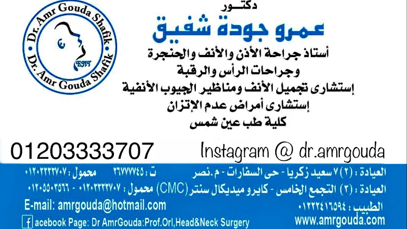 Prof. Dr. Amr Gouda