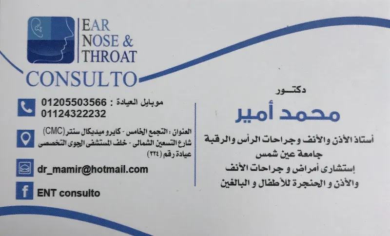 الأستاذ الدكتور محمد أمير