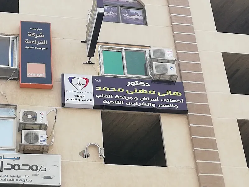 Dr. Hany Mehanny Mohamed