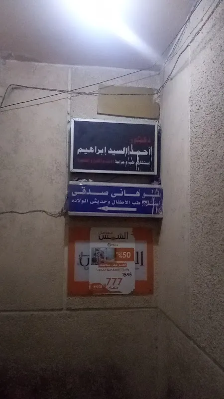 د. شيرين حمدى احمد