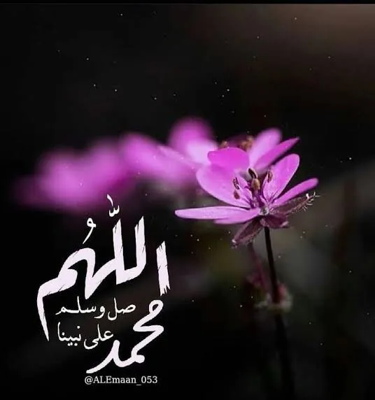 Dr. Hamdy Tamam Ossam