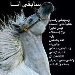 ا.د احمد ابو الوفا - استاذ جراحة الأنف والأذن والحنجرة - كلية الطب - جامعة أسيوط