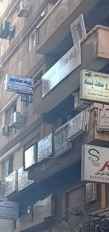 الأستاذ الدكتور زياد مندور