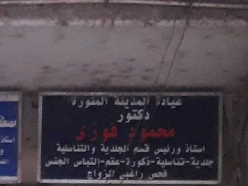 Professor Dr. Mahmoud Fawzy Abdel Hamid
