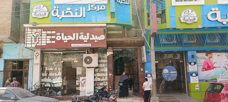 Dr. Maged Abou Shady