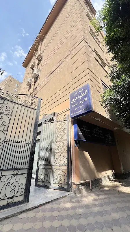 Dr. Saeed Wasef