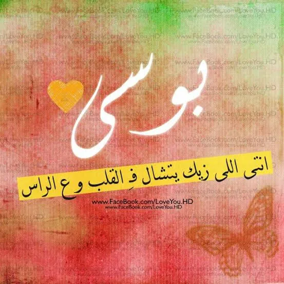Dr. Mohamed Ibrahim Lotfy Clinic