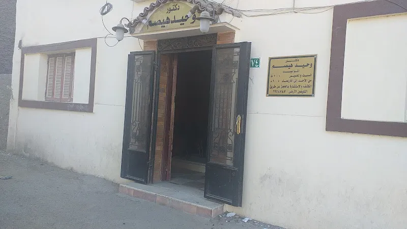 الاستاذ الدكتور/ وحيد هيصم