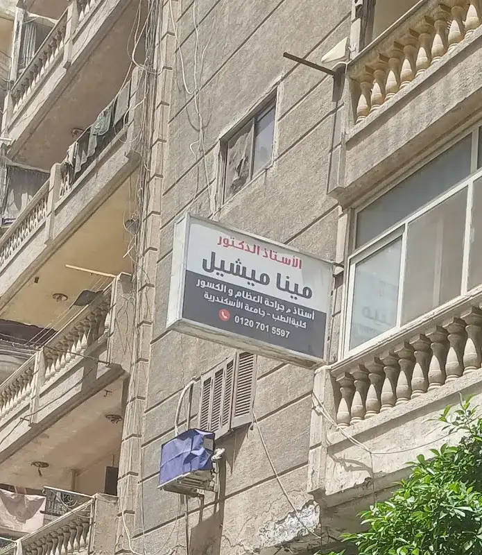 دكتور مينا ميشيل