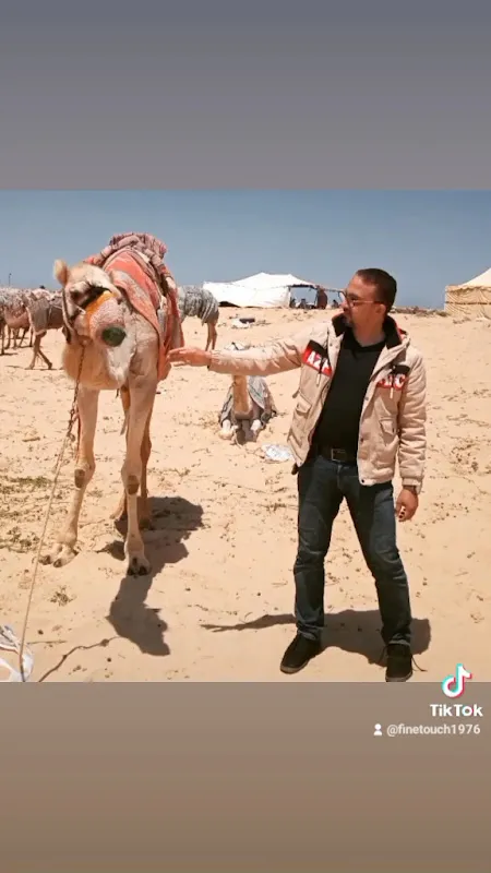 دكتور / محمد المصرى _ إستشارى جراحة العظام
