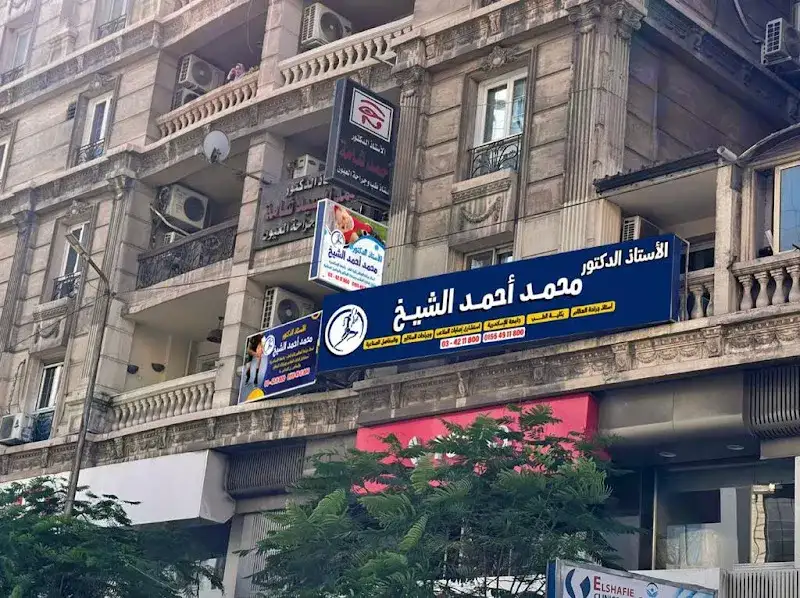 الأستاذ الدكتور /محمد احمد الشيخ