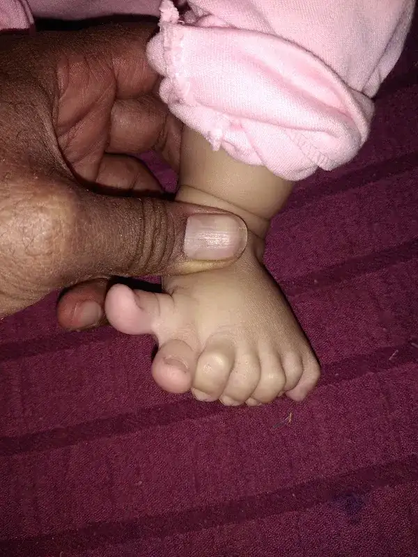 عياده الدكتور سيد الغول