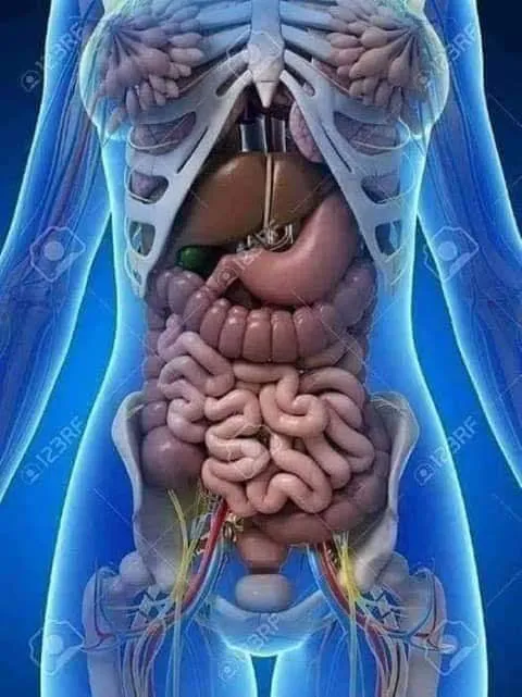 Clinic of Dr. Ibrahim Al-Shahawi Senior Consultant, Internal Medicine and Liver, Kafr El-Sheikh Liver Institute