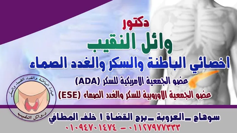 الدكتور عمرو جمال الرشيدى