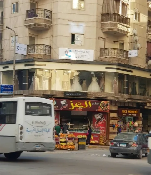 دكتور مجدى محمد حلمى