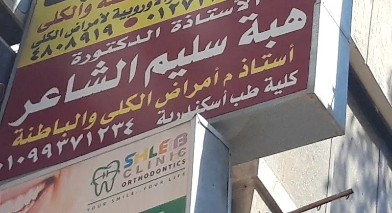 د. هبة سليم الشاعر أستاذ أمراض الكلي والباطنة طب الاسكندرية