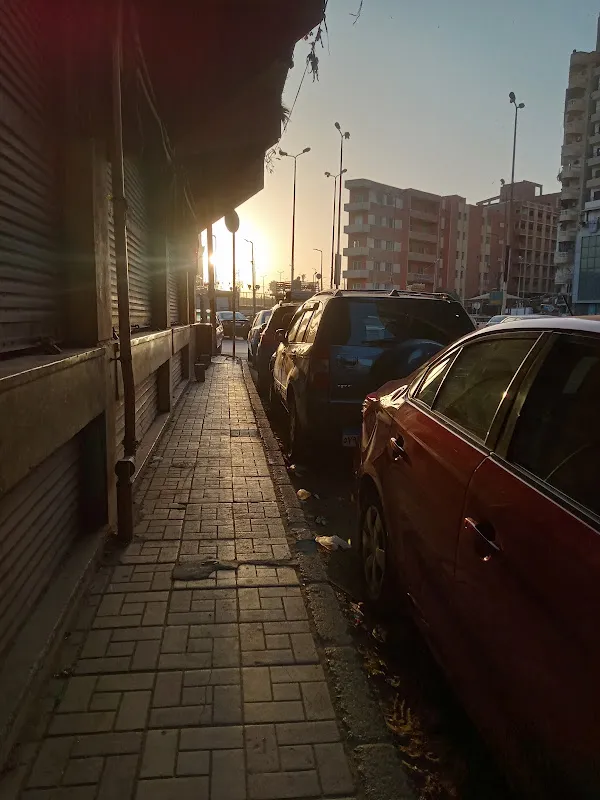 مدحت العربى