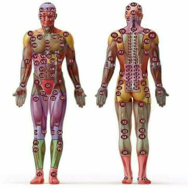 Al-Israa Center for Physiotherapy and Slimming