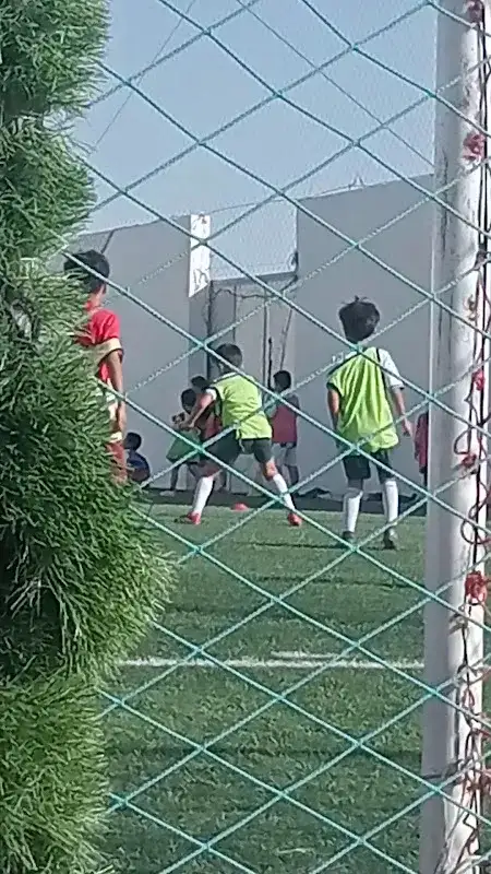د عماد عوني للأمراض الجلدية وجراحات الذكورة