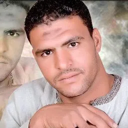 أحمد محمد عبد الوارث