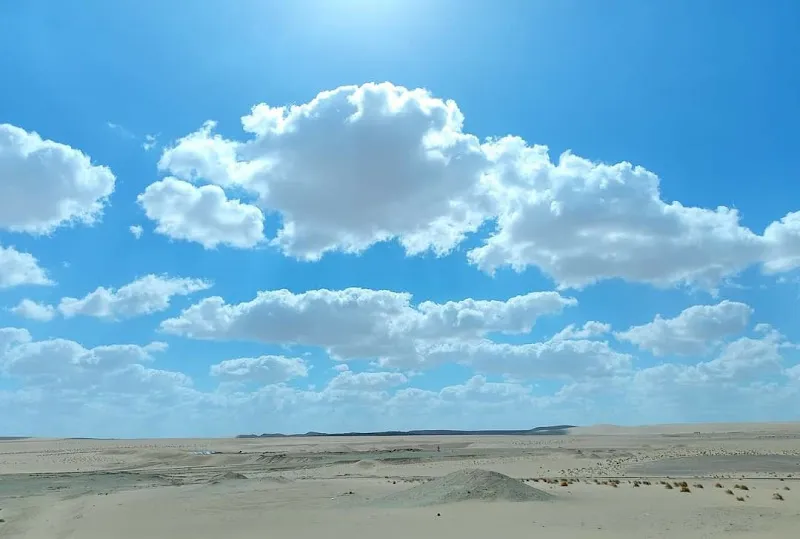 عيادة الدكتور محمد زايد للامراض الجلدية