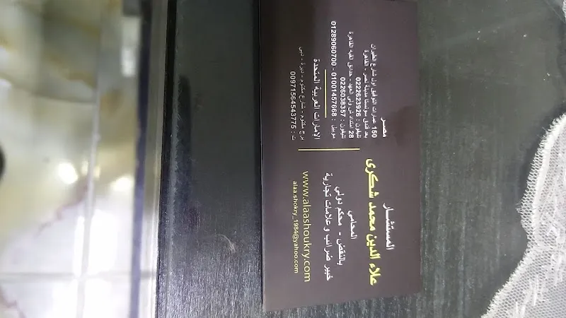 Aladdin Mohamed Shoukry Law Firm