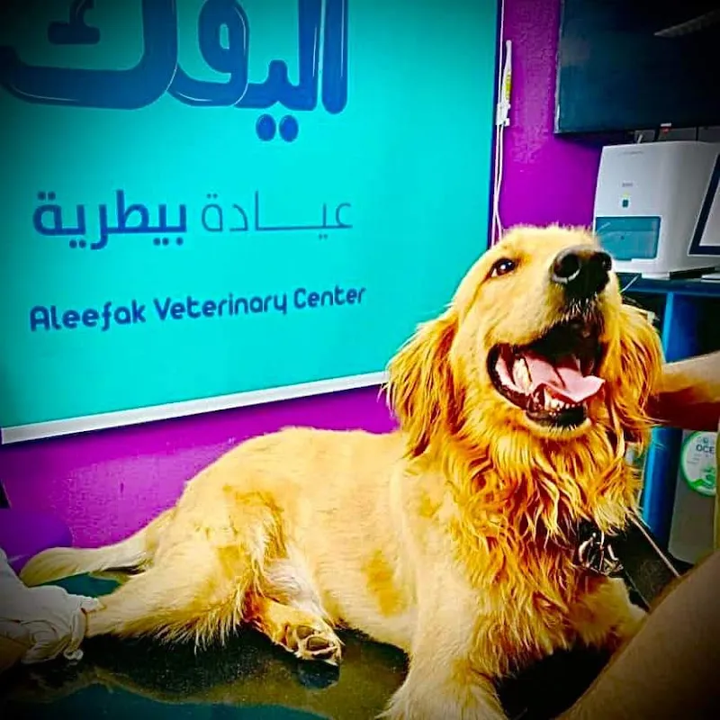 Aleefak Veterinary Clinic Nasr City - عيادة أليفك البيطرية مدينة نصر