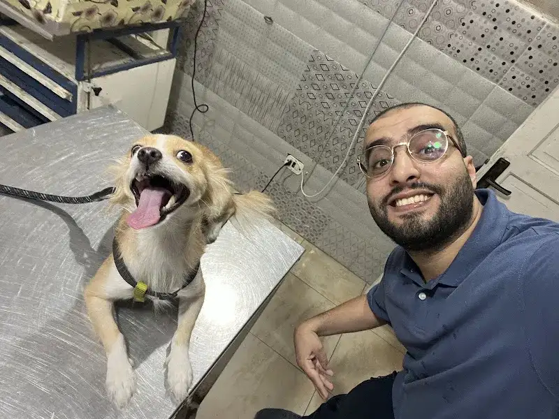 Oodi vet clinic nasr city "Dr Faris Elmamlouk"/عياده اودي البيطريه فرع مدينه نصر "د.فارس المملوك