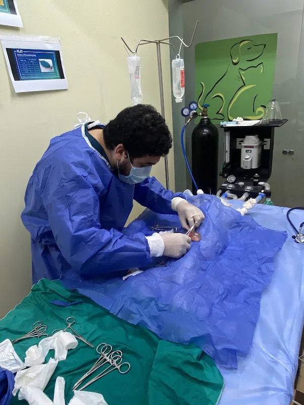 Vetology Veterinary Clinic - Nasr City