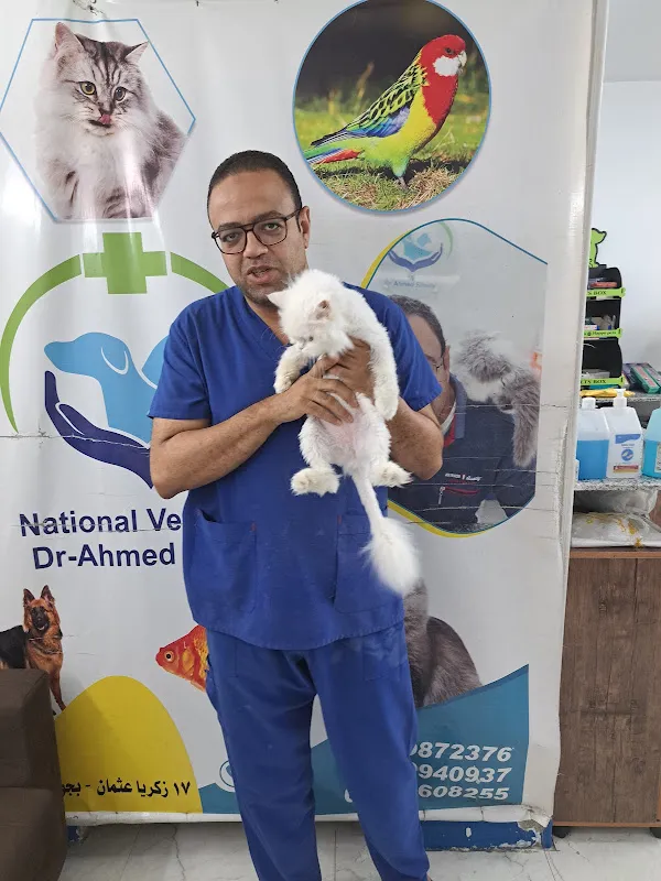 National Vet Clinic