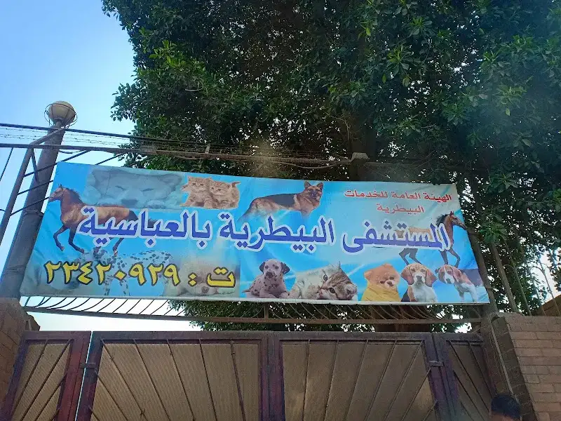 المستشفى البيطري بالعباسية المصل واللقاح
