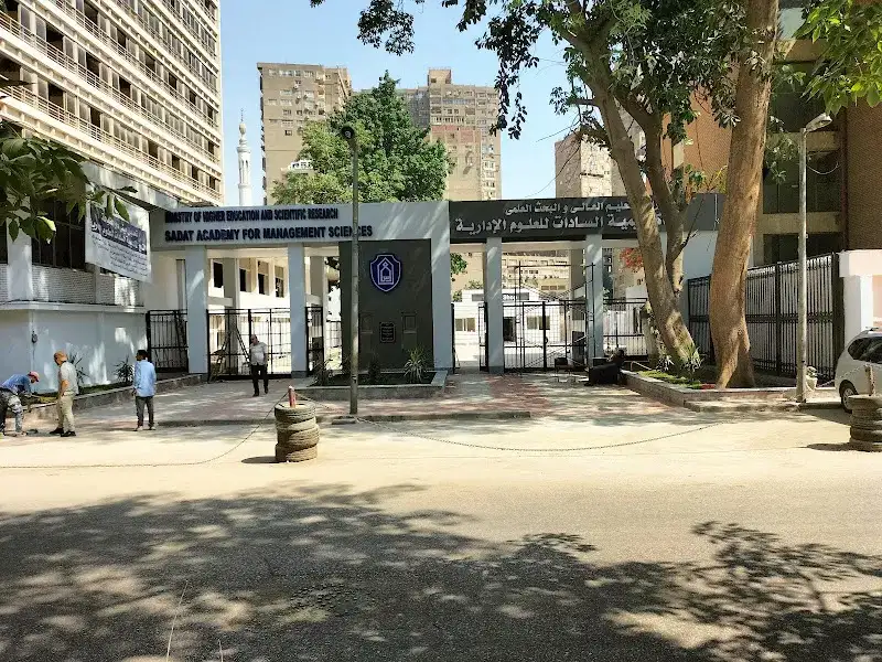 دكتور احمد السيد